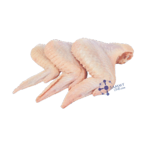 CHICKEN WINGS 10KG FROZEN -AILES DE POULET