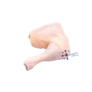 FROZEN CHICKEN THIGHS 10KG - CUISSES DE POULET 10KG