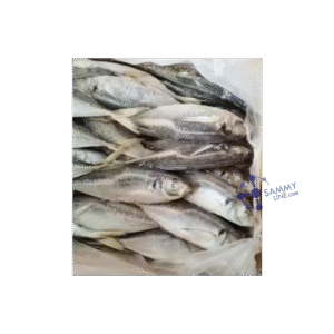 FROZEN HORSE MACKEREL 20KG – TOMSON SURGELÉ 20KG