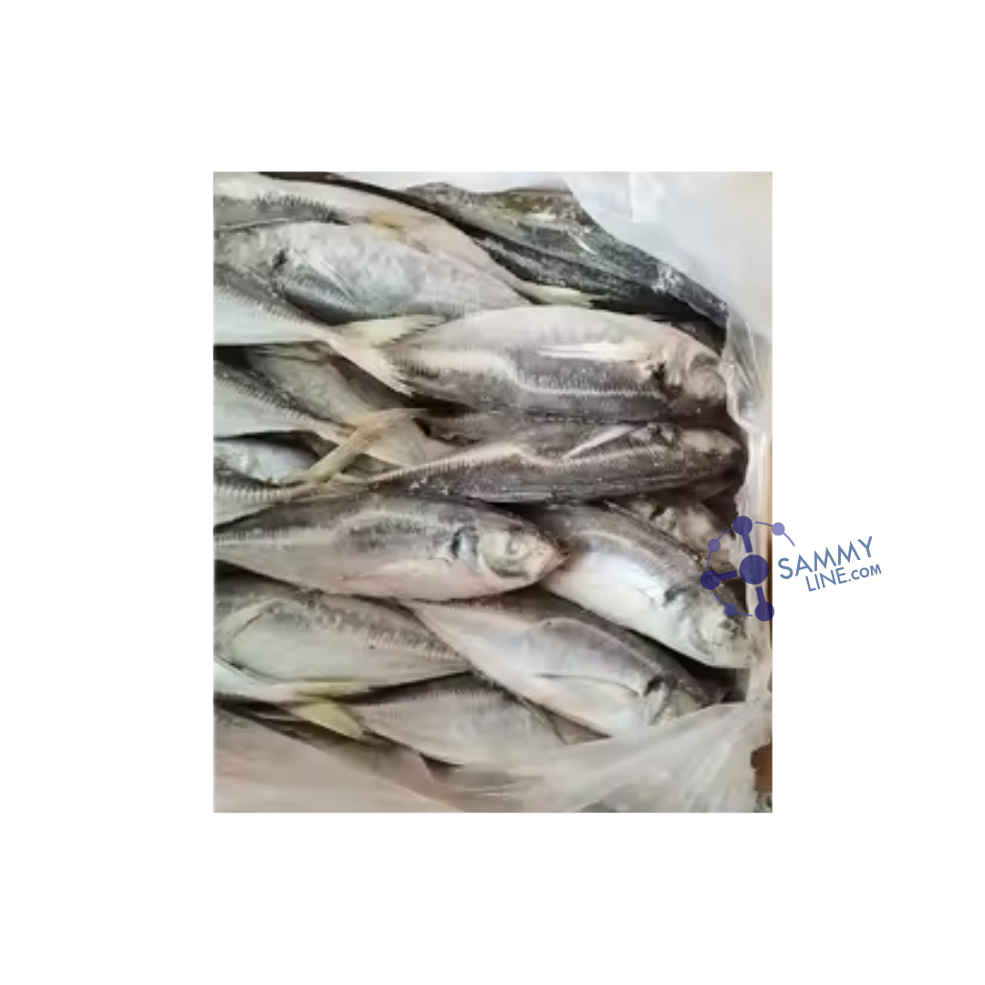 FROZEN HORSE MACKEREL 20KG – TOMSON SURGELÉ 20KG