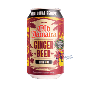 GINGER BEER SODA CAN
