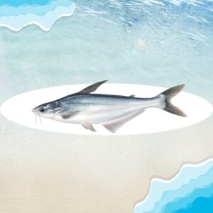 PANGASIUS FROZEN CARTON