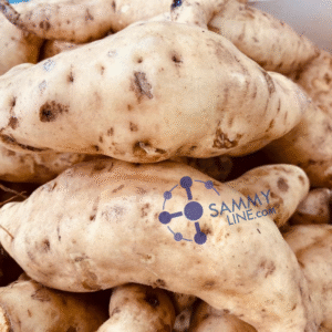 AFRICAN SWEET POTATO - PATATE DOUCE AFRICAIN 1KG