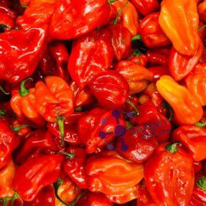 AFRICAN RED PEPPER - PILI PILI ROUGE 200g