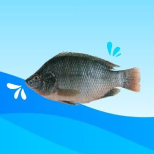 BLACK TILAPIA CARTON
